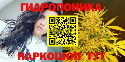 молекула духа Малгобек