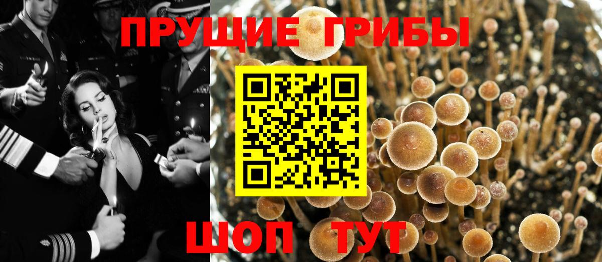 Черкесск  Галлюциногенные грибы ЛСД  Вход с VPN  Галлюциногенные грибы прущие грибы 