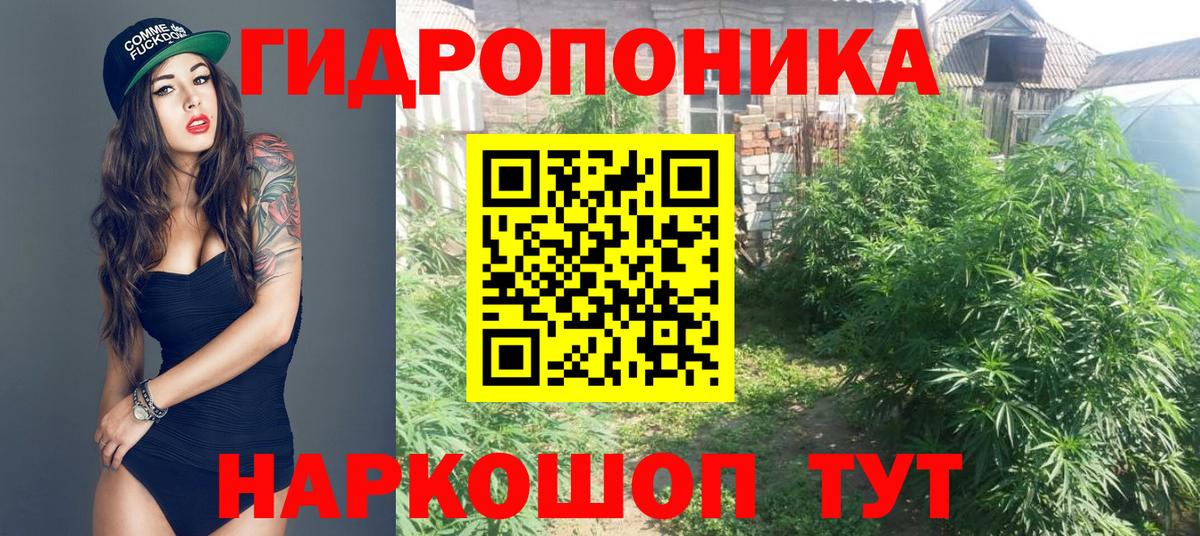 Шишки марихуана конопля Черкесск